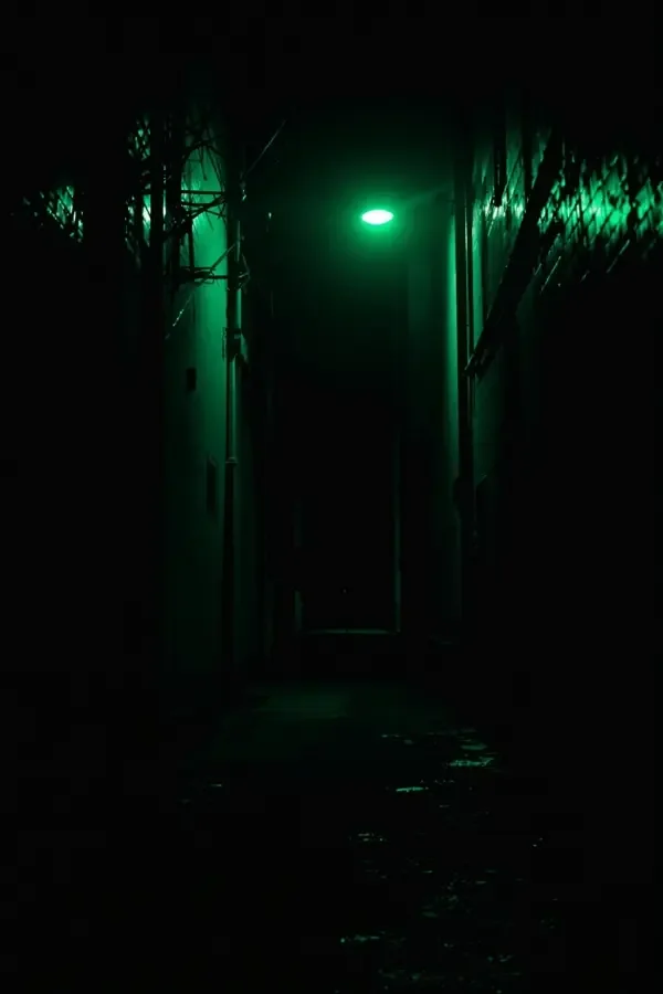 黄果漫剧下载《暗夜追光者》封面